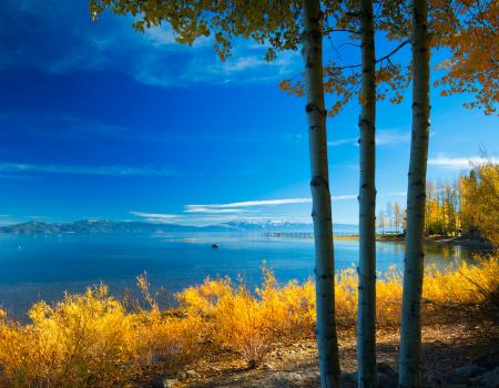 Lakefront Lake Tahoe